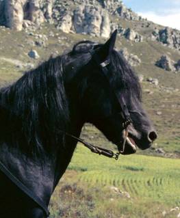 image003.jpg